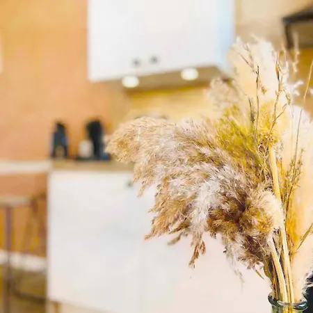 Le Carnot: 2 Prs Neuf Proxi Centre Historique Digione